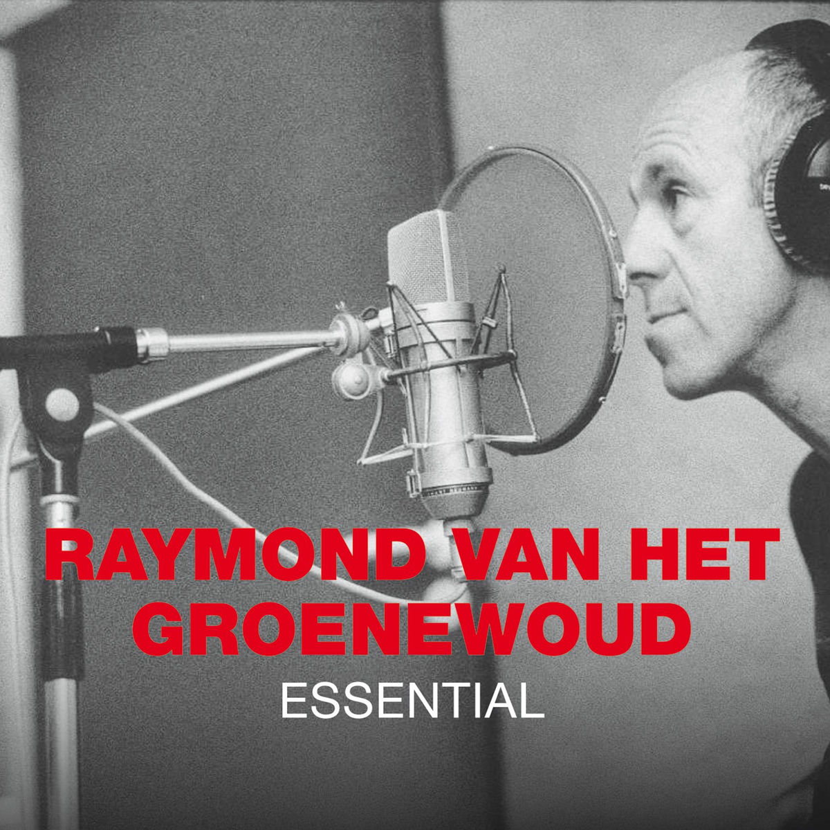 Raymond van het Groenewoud